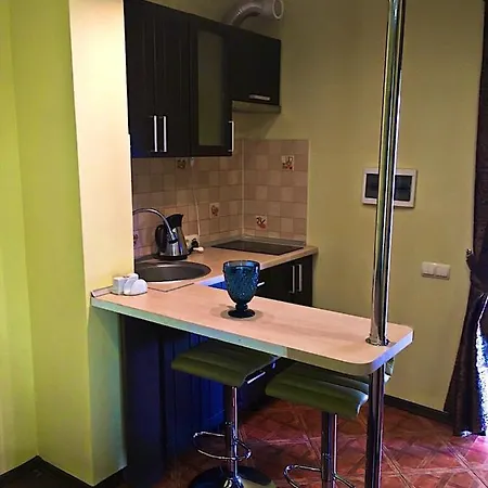 On Fontanskaya Apartment *